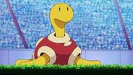 Shuckle as it appears in the anime (Image via The Pokemon Company)